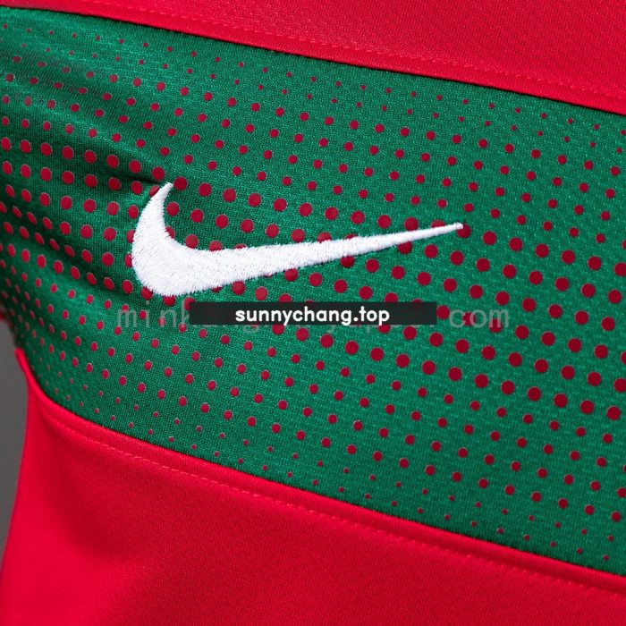 Portugal 2010 Player Version Retro Long Sleeve Home Jersey - 图片 4
