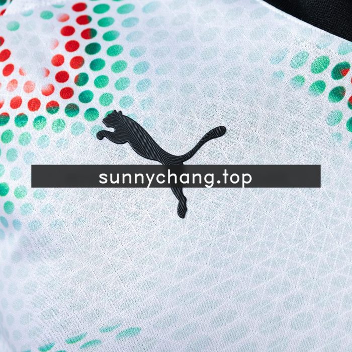 2025 Player Long Sleeve Portugal Away Jersey - 图片 4