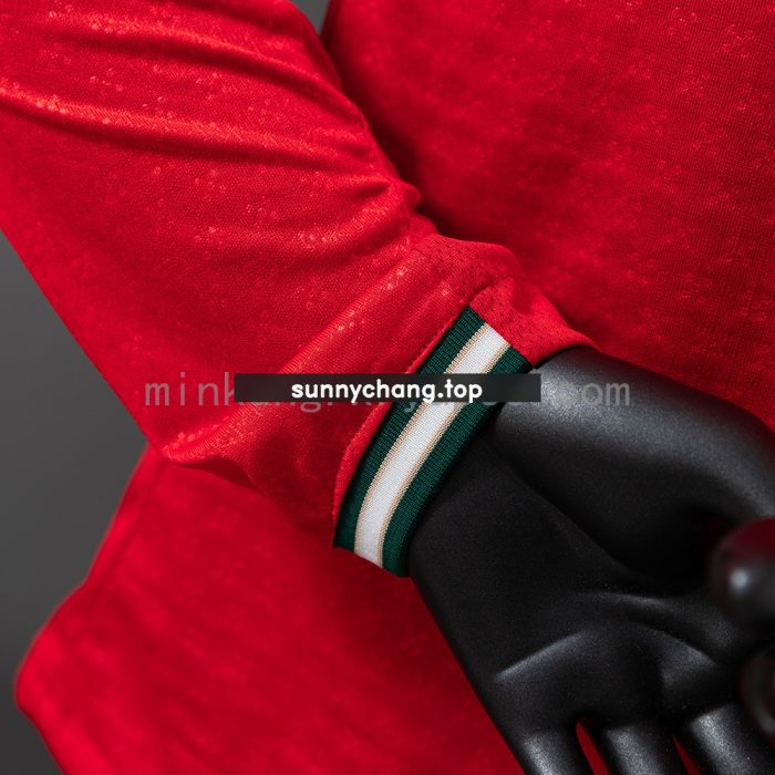 Portugal 2025 Home Long Sleeve Player Version Jersey - 图片 2