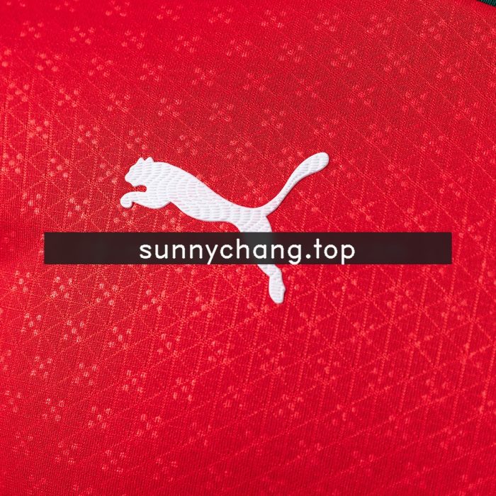 Portugal 2025 Home Long Sleeve Player Version Jersey - 图片 4