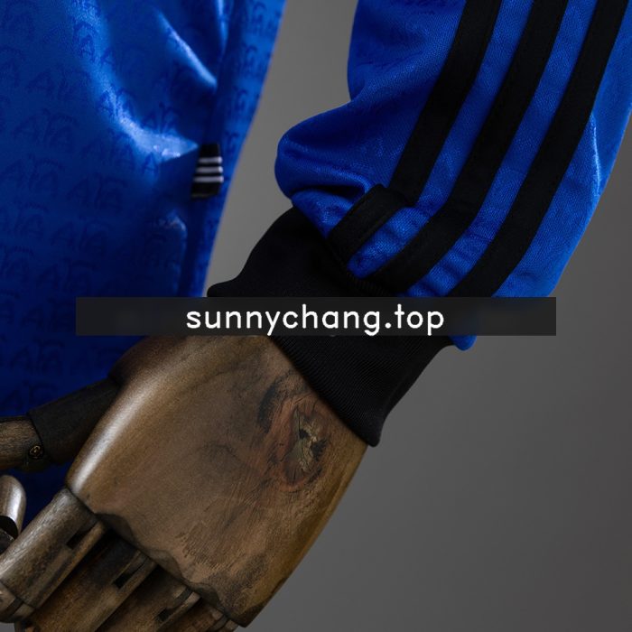 Argentina 1994 Away Long Sleeve Retro Jersey - 图片 2