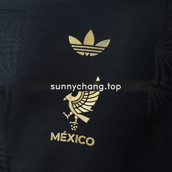 Mexico 25/26 Special Edition Black Long Sleeve Player Version Jersey - 图片 5