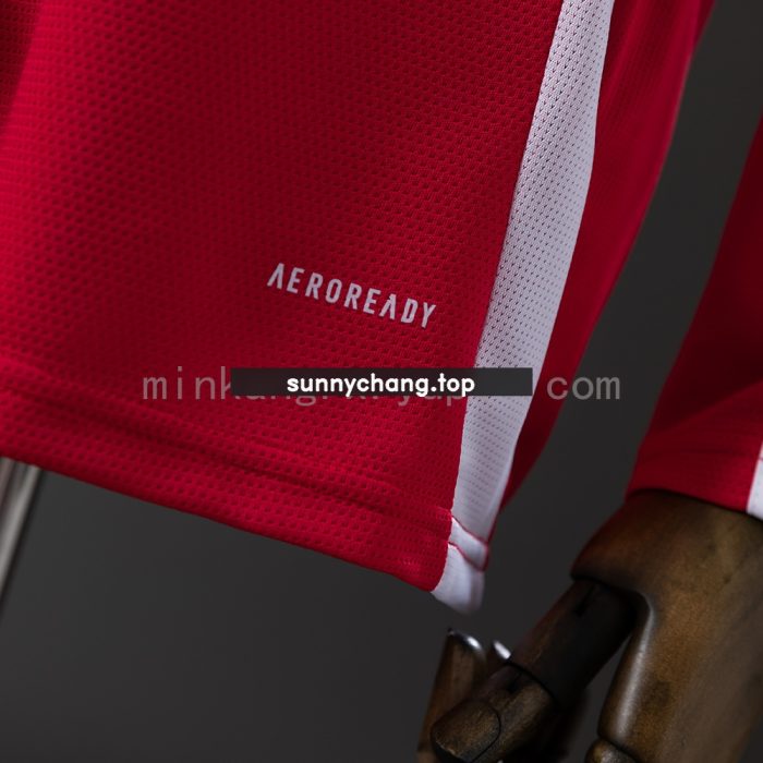 Brazil Internacional Home Long Sleeve Jersey 25/26 - 图片 2