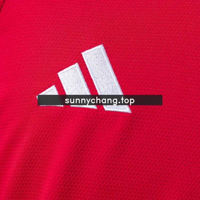 Brazil Internacional Home Long Sleeve Jersey 25/26 - 图片 4