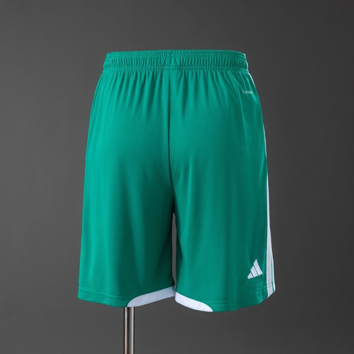 Northern Ireland 2026 Home Shorts - 图片 2
