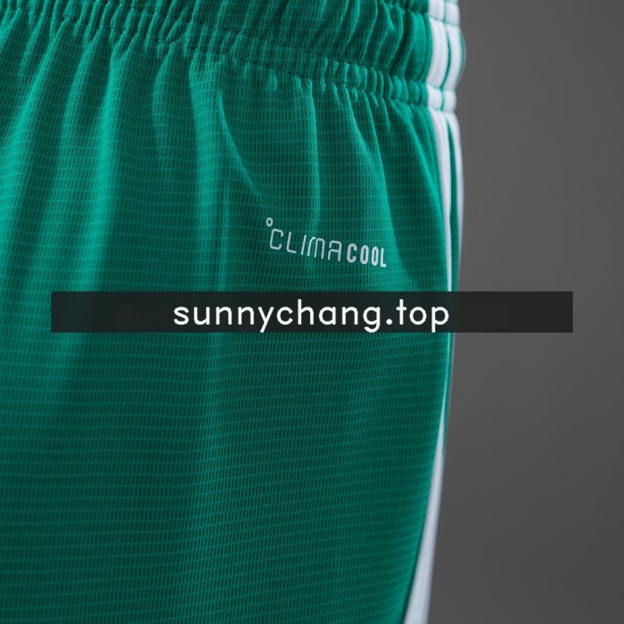 Northern Ireland 2026 Home Shorts - 图片 4