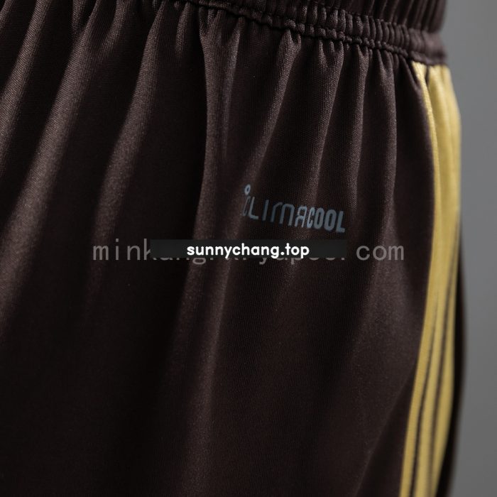 Flamengo 26/27 Women's Training Shorts - Brown S-XXL - 图片 3