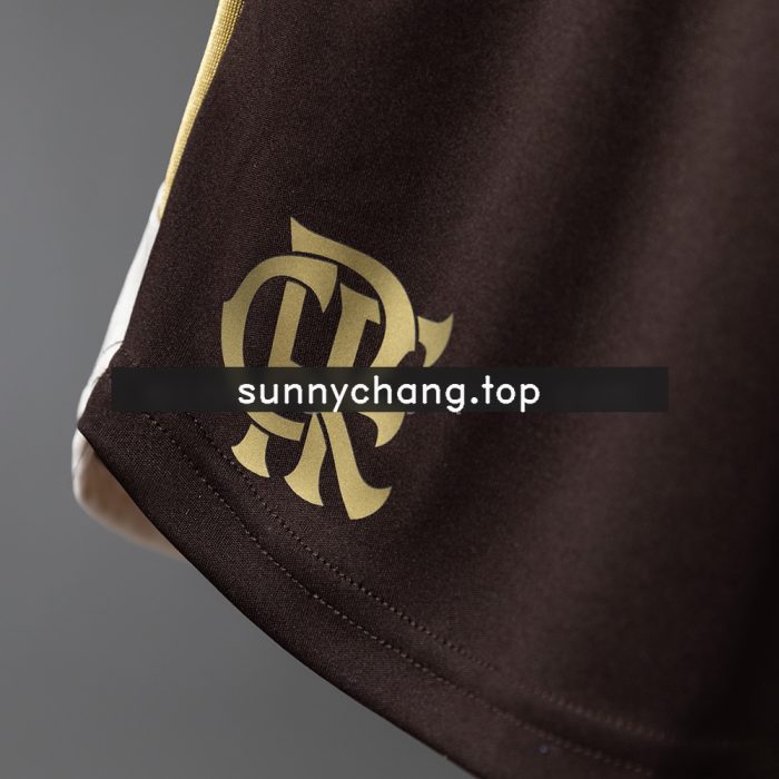 Flamengo 26/27 Women's Training Shorts - Brown S-XXL - 图片 5