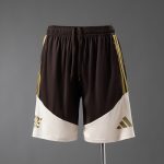 Flamengo 26/27 Training Shorts - Brown