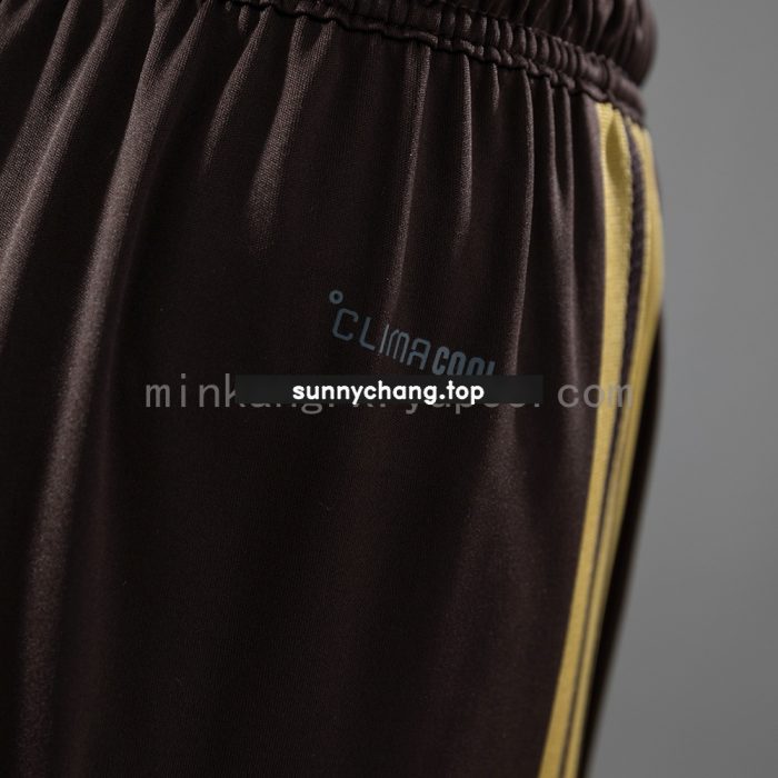 Flamengo 26/27 Training Shorts - Brown - 图片 4