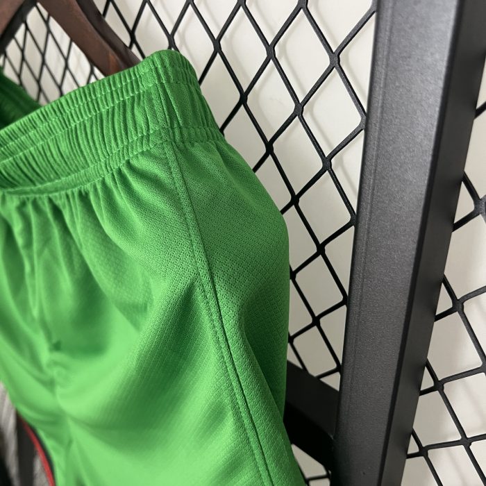 Portugal Home Shorts 2024 - 图片 4
