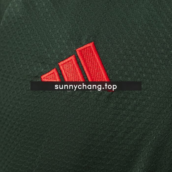 Bayern Munich 25/26 Polo - Dark Green - 图片 4