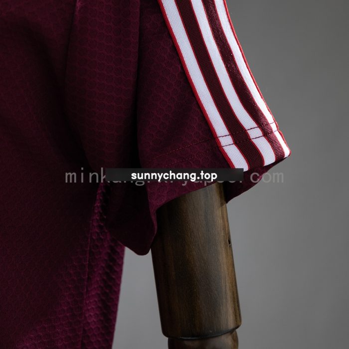 Bayern Munich 25/26 Polo - Maroon - 图片 3