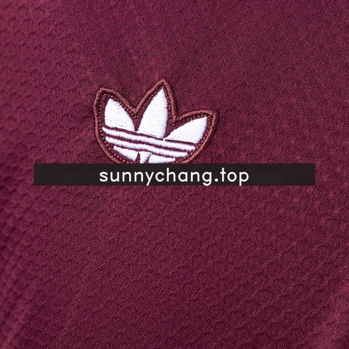 Bayern Munich 25/26 Polo - Maroon - 图片 4