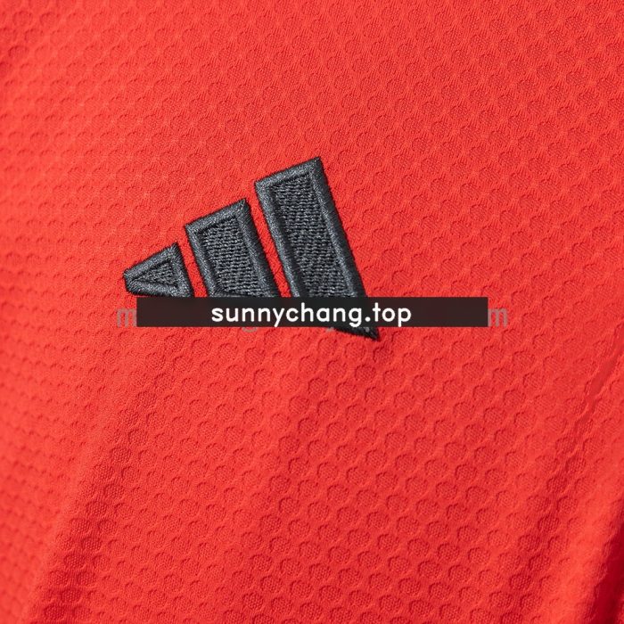 Bayern Munich 25/26 Polo - Red - 图片 4
