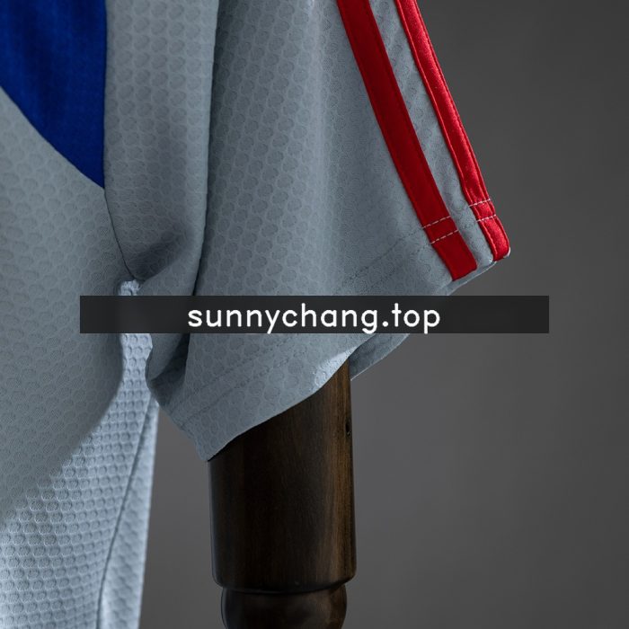 Bayern Munich 25/26 Polo - Grey - 图片 3
