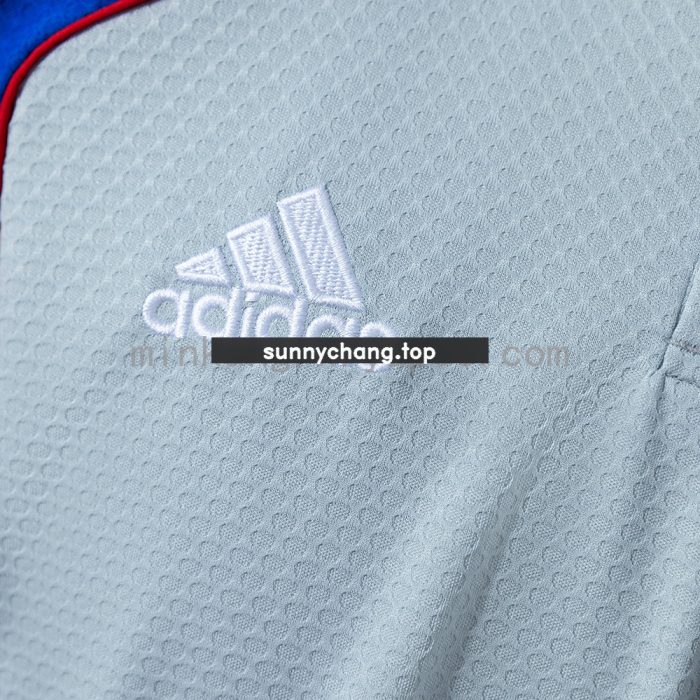 Bayern Munich 25/26 Polo - Grey - 图片 4