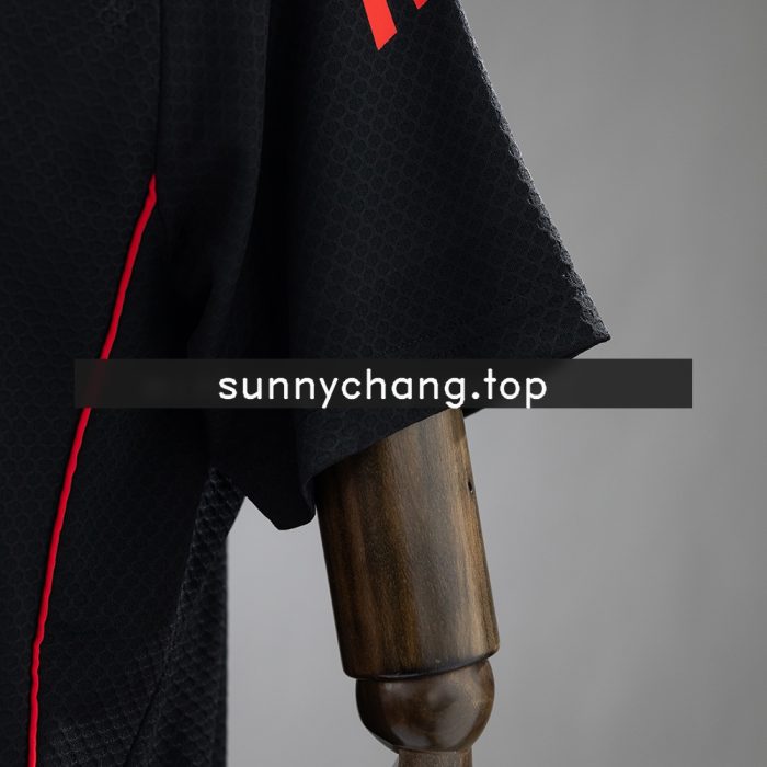 Ajax 25/26 Polo - Black S-XXL - 图片 3