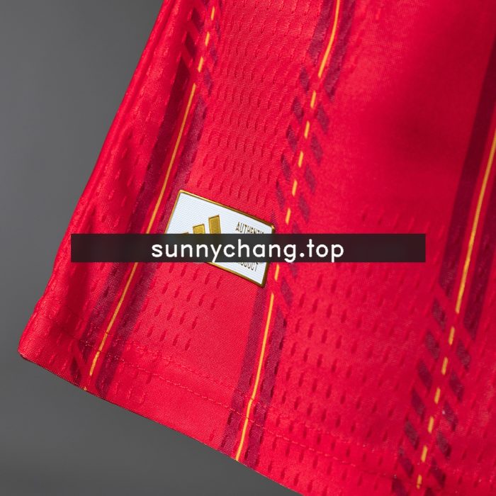 Spain 2026 Home Player Version Jersey - 图片 6
