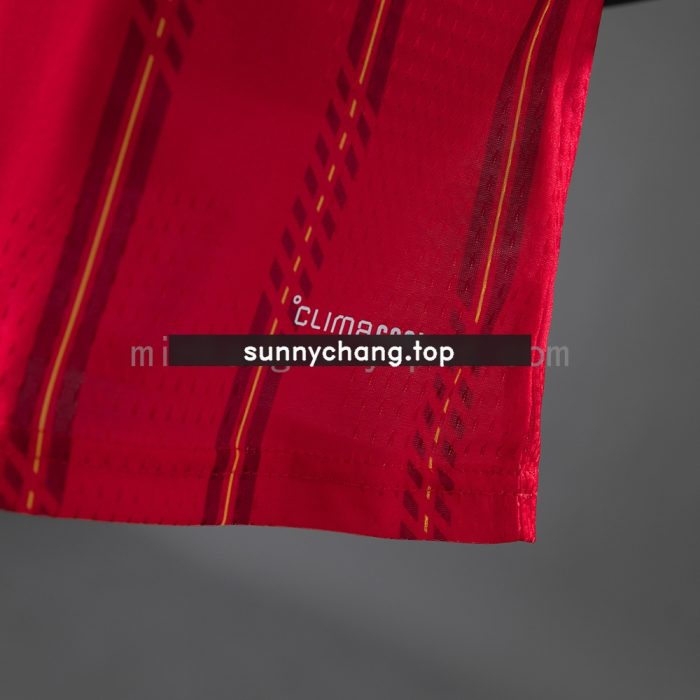 Spain 2026 Home Player Version Jersey - 图片 7
