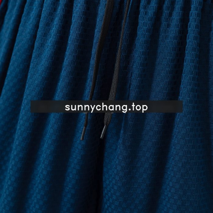 Spain 2026 Player Version Training Shorts - 图片 5