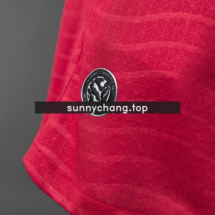 Portugal 2026 Home Player Version Jersey - 图片 5