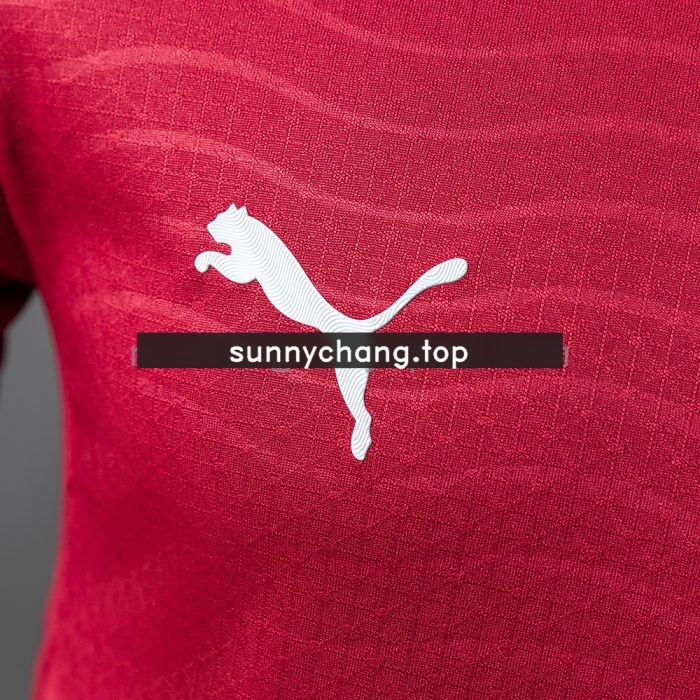 Portugal 2026 Home Player Version Jersey - 图片 7