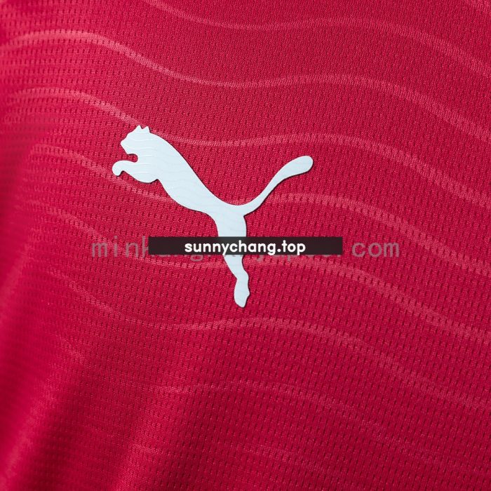 Portugal 2026 Home Long-sleeved Jersey - 图片 6