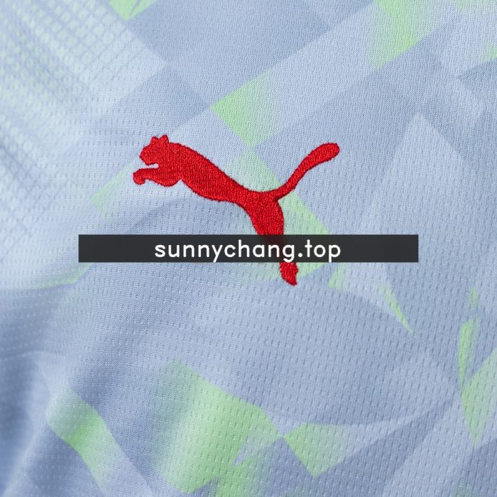Portugal 2026 GK Gray Jersey - 图片 6