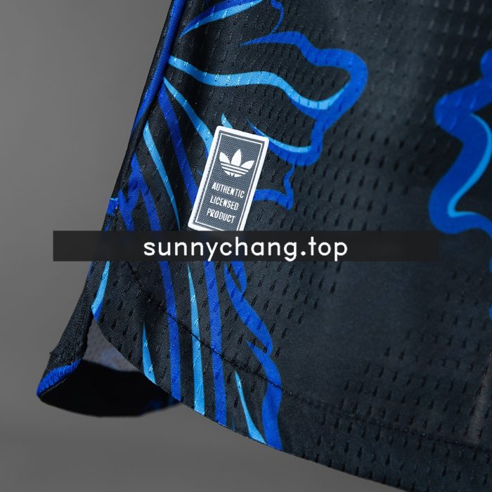 Argentina 2026 Away Player Version Jersey - 图片 4