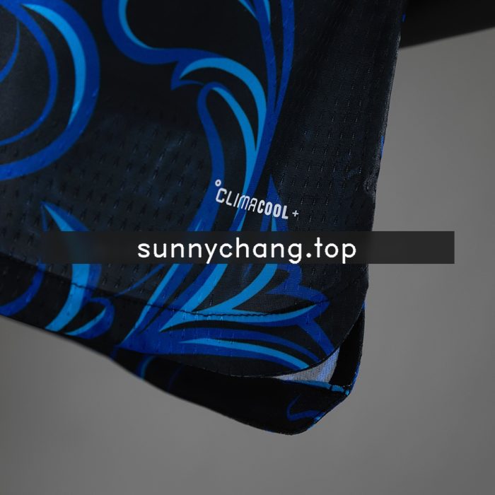 Argentina 2026 Away Player Version Jersey - 图片 5
