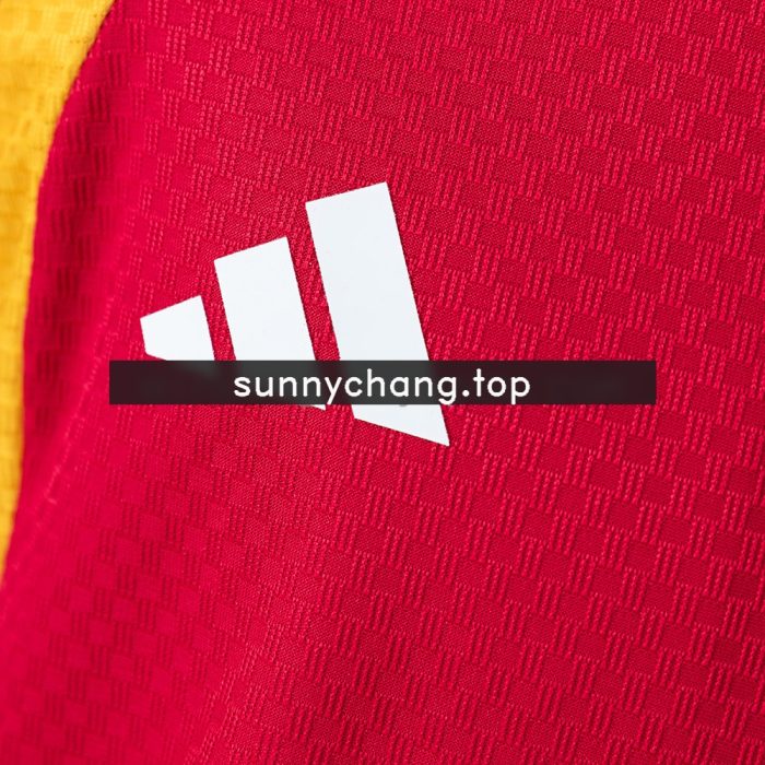 Germany 2026 Player Version Training Kids Kit Jersey - Red - 图片 5