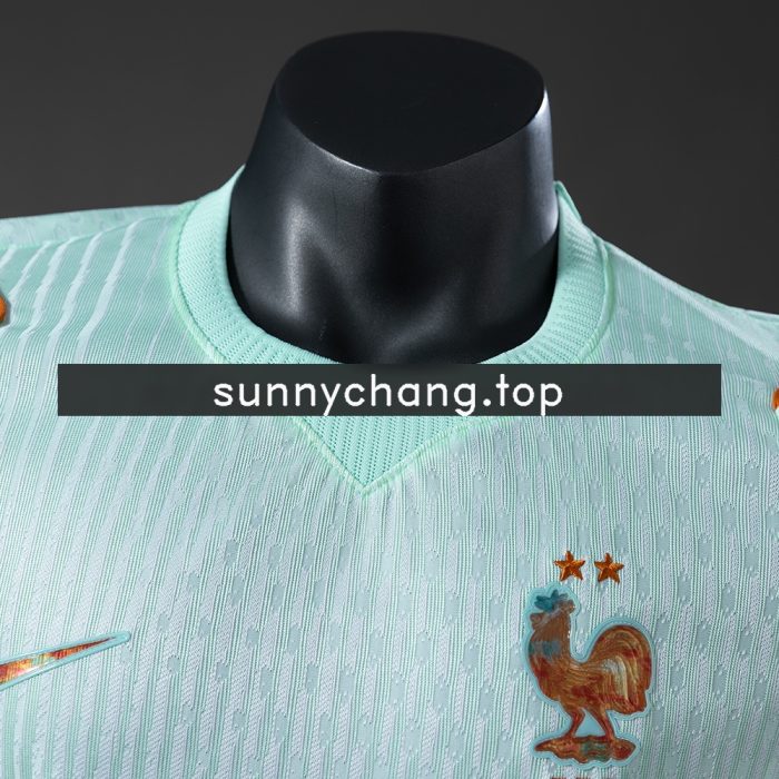 France 2026 Away Player Version Jersey - 图片 8