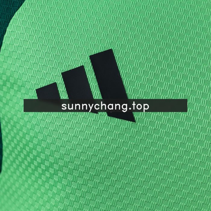 Mexico 2026 Player Version Training Jersey - Green - 图片 5