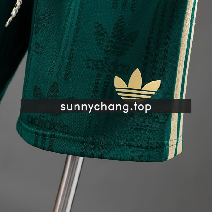 Italy 2026 OG Player Version Training Shorts - Green - 图片 4