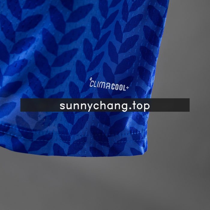 Italy 2026 Home Player Version Jersey - 图片 4