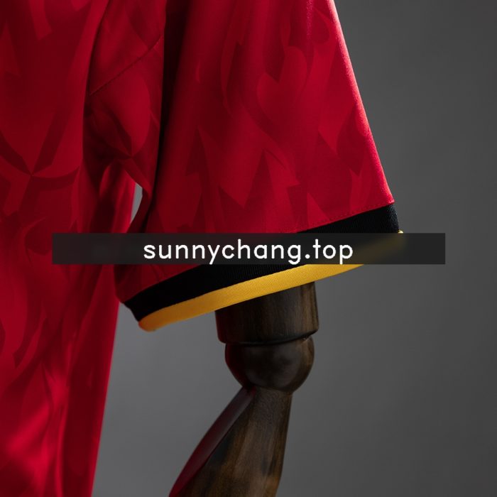 Belgium 2026 Home Jersey - 图片 4