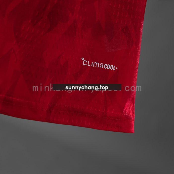 Belgium 2026 Home Player Version Jersey - 图片 4