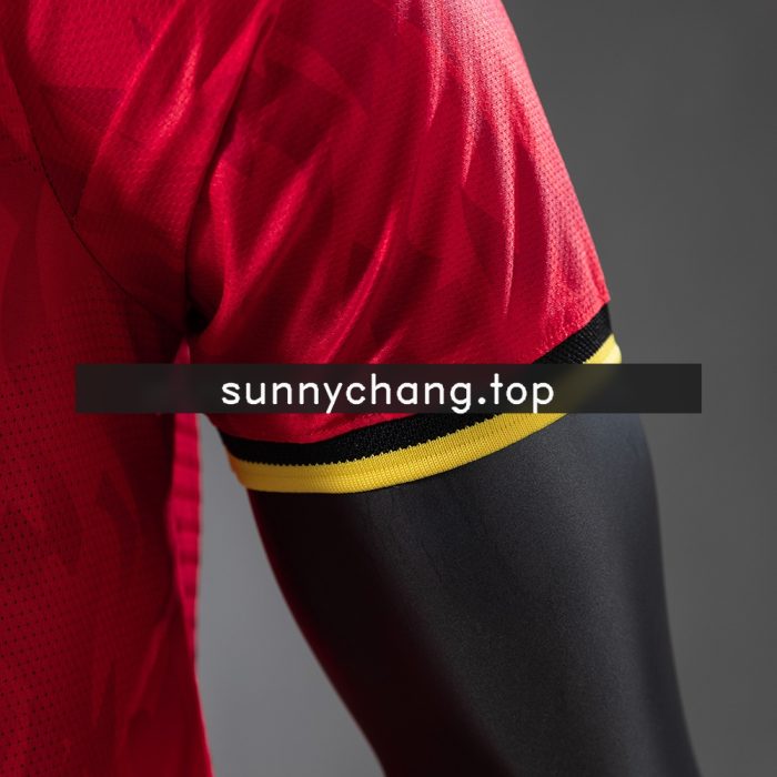 Belgium 2026 Home Player Version Jersey - 图片 5