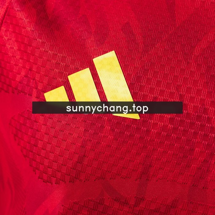 Belgium 2026 Home Player Version Jersey - 图片 6