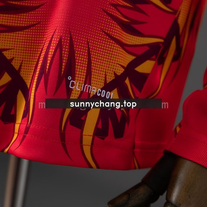 Japan 2026 GK Red Long-Sleeved Jersey - 图片 4