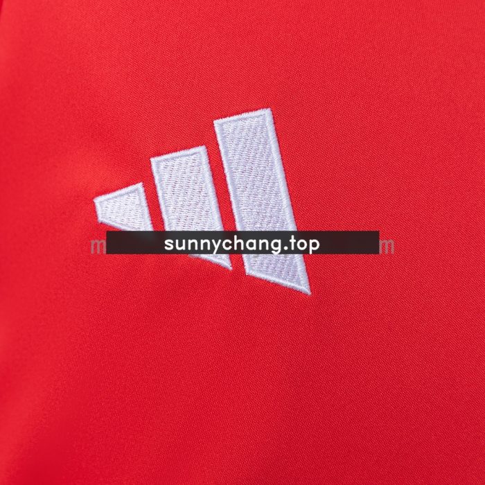Japan 2026 GK Red Long-Sleeved Jersey - 图片 6