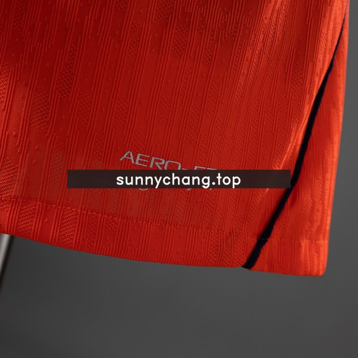 Netherlands 2026 Home Player Version Jersey - 图片 3