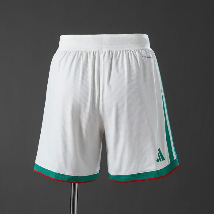 Algeria 2026 Home Player Version Shorts - 图片 2