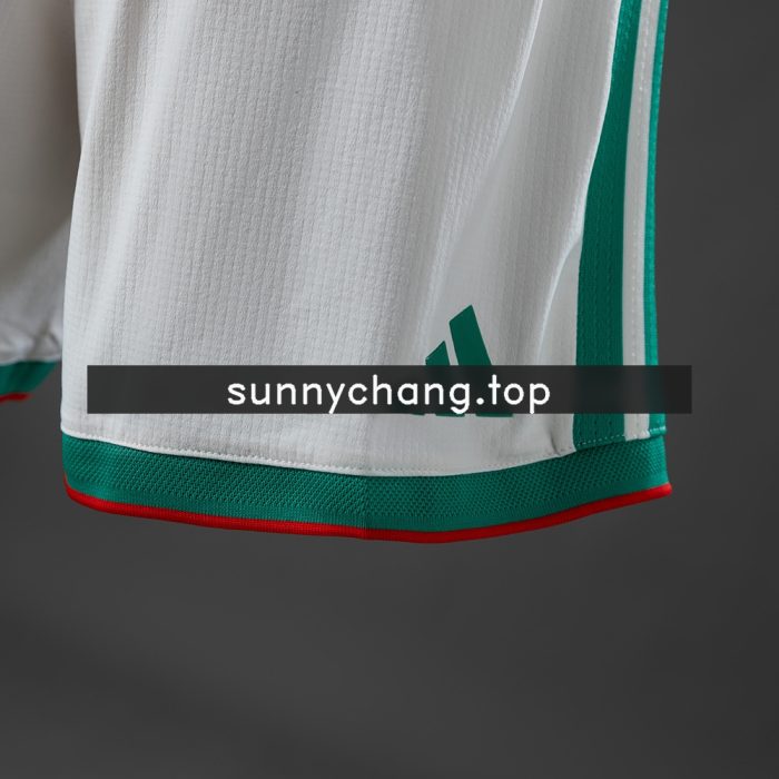 Algeria 2026 Home Player Version Shorts - 图片 3