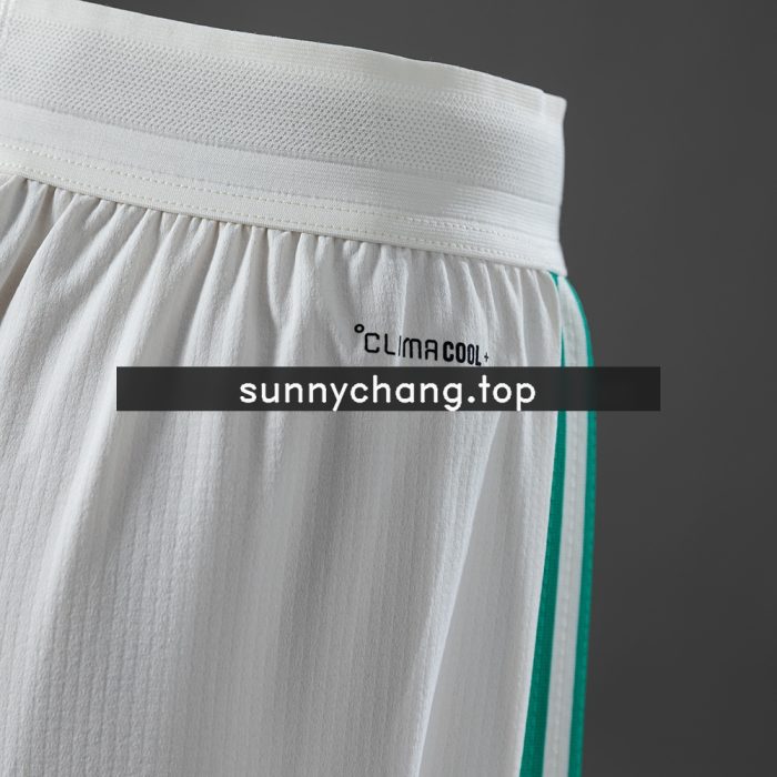 Algeria 2026 Home Player Version Shorts - 图片 4