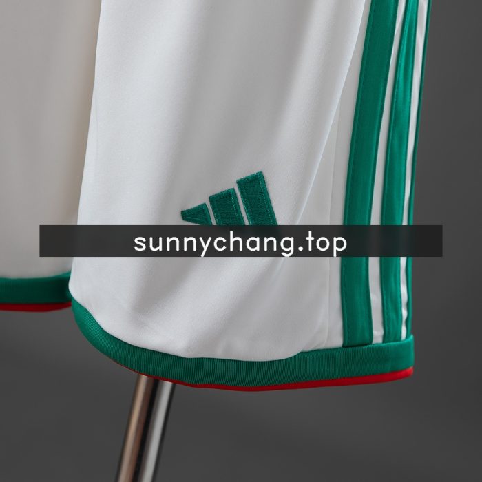 Algeria 2026 Home Kids Kit Jerseys - 图片 3