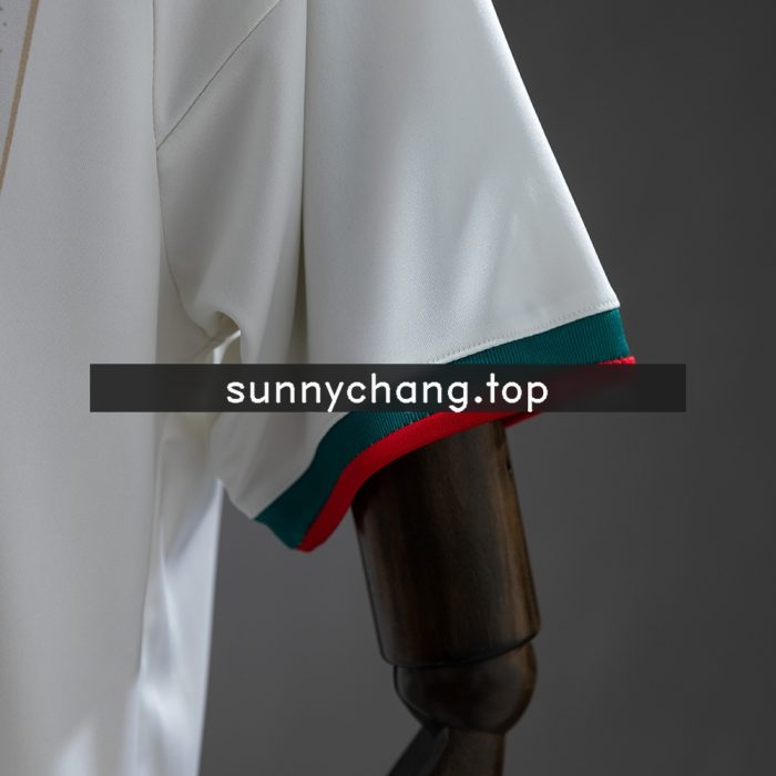 Algeria 2026 Home Jersey - 图片 3