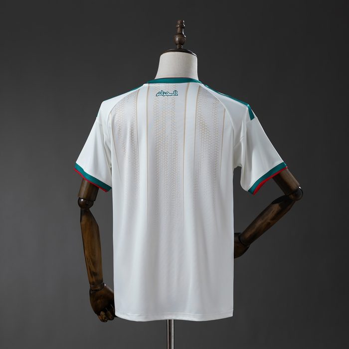 Algeria 2026 Home Jersey - 图片 6