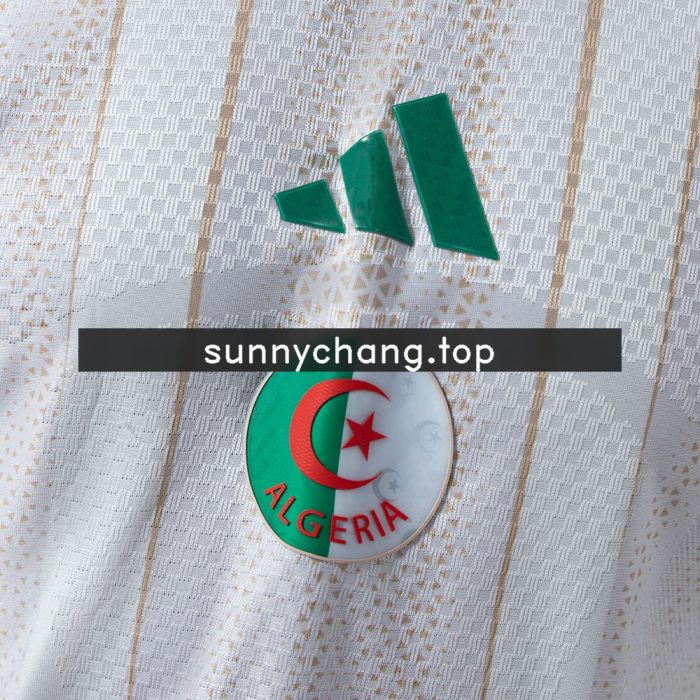 Algeria 2026 Home Player Version Jersey - 图片 6